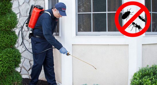 Köprübaşı Böcek İlaçlama böcek ilaçlama ve haşere kontrolü — ilaclama-tr.com